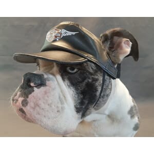 PET CAP