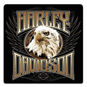 H-D Eagle Stare