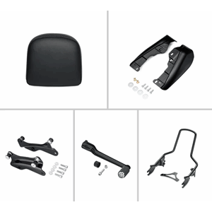 DAY-TRIPPER ACCESSORY PACKAGE BLACK 24-L TOURING