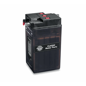 6V CONVENTIONAL BATTERY - DRY FL/GE