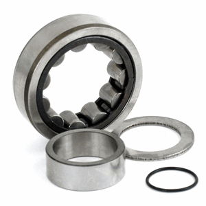 CAMSHAFT ROLLER BEARING. OUTER, REAR, OEM 8990